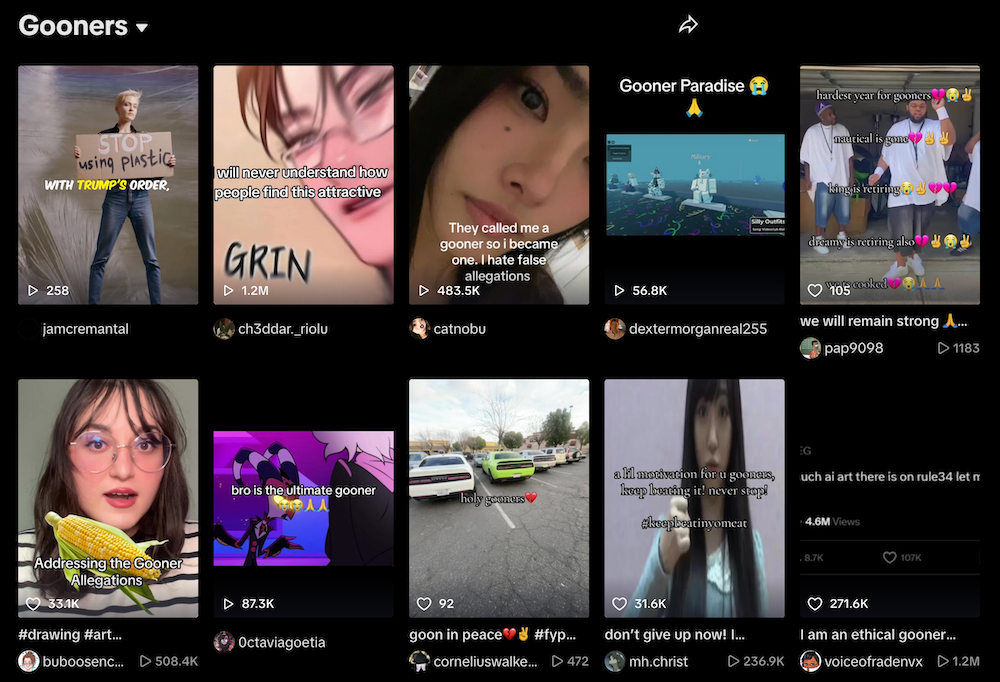 what is gooning - tiktok still shows gooners if you search online
